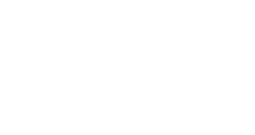 Client 41 Logo